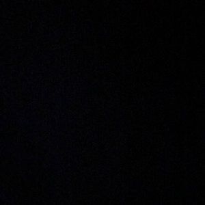 Meet your Posher, Traelon